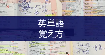 語覚えた私が語る】英単語の勉強法完全公開!暗記を超効率的にするつのステップ