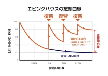 大学受験】英単語の暗記法完全ガイド