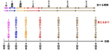 英単語の覚え方】回の記憶では定着しない！最も重要な反復のタイミングを検証してみた