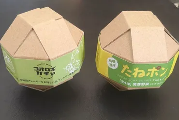 ガチャガチャは環境負荷？カプセルも中身もな〝アイデア〟