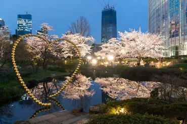 六本木ヒルズの花見イベント「春まつり」日本庭園の夜桜ライトアップやレストラングルメ屋台