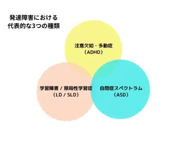 発達障害の中学生を理解する？特性と学校生活のサポート発達障害の中学生：特性と困り事、親御さんのサポート