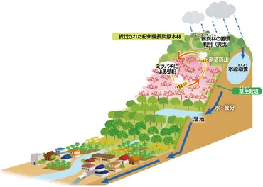 号:世界農業遺産・みなべ・田辺の梅システム