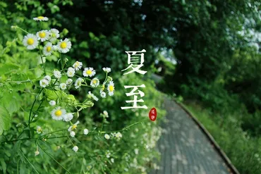 日本文化巡禮:夏至