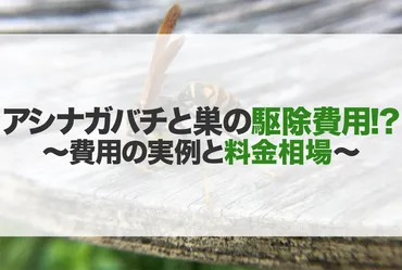 アシナガバチと巣の駆除費用・料金相場