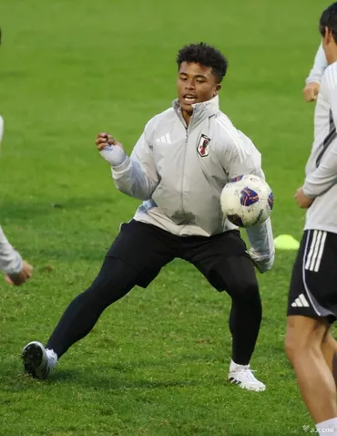 画像・写真:藤田、独ザンクトパウリへ サッカー:時事ドットコム