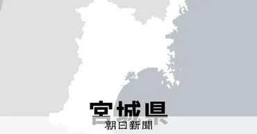 仙台白百合女子大、27年に共学化へ 入学者数減少、定員割れ踏まえ 宮城県：朝日新聞