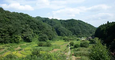 横沢入里山保全地域 