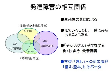 ADHD/LDについての参考資料(対応と算数)