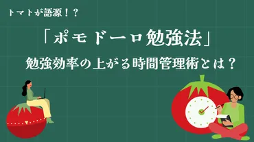 東大生が解説】「ポモドーロ勉強法」で勉強効率をグンと上げよう！ 
