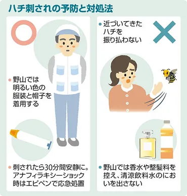 ハチに刺された 2回刺されると危険なのはなぜ?