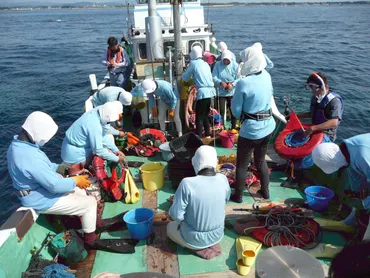 鳥羽・志摩の海女漁の技術&ユネスコ無形文化遺産について、 三重テラスにて「海女トーク」を2月11日に開催