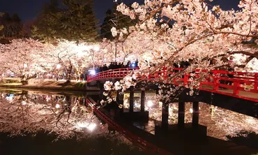 死ぬまでに見たい弘前の桜