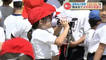運動会の半日開催は安全？ 変化する小学校の運動会事情とは？小学校の運動会、半日開催の現状と課題