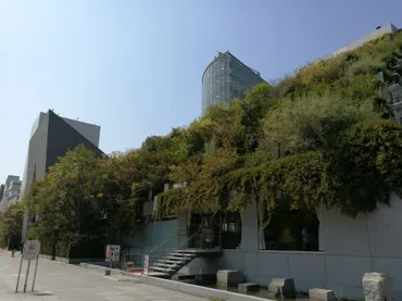 アクロス福岡ステップガーデンー建築デザインが発するメッセージとその持続性ー