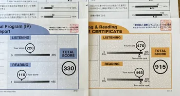 TOEICスコアを高めるサイトトランスレーションの方法を900超の僕が徹底解説