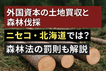 ニセコに広がる外国資本の森林買収と無届け伐採 見えない土地の主と緩い制度の現実 