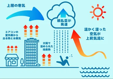 ゲリラ豪雨と台風の脅威？～メカニズムから対策まで徹底解説～ゲリラ豪雨・台風の最新情報と防災対策