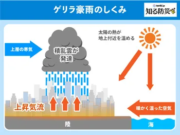 ゲリラ豪雨のしくみ（知る防災） 