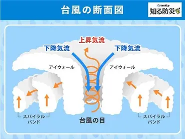 台風の目ってなに？ できかたから勢力との関係まで、気象予報士が解説 