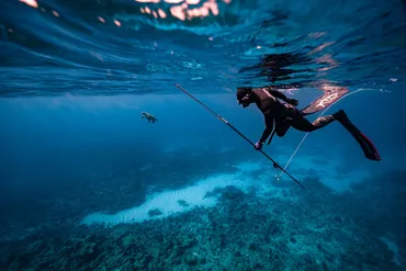 魚突き（スピアフィッシング）の始め方！漁業権、道具、マナー、安全な楽しみ方とは？安全に魚突きを楽しむための基礎知識：漁業権、道具選び、法規制、マナー
