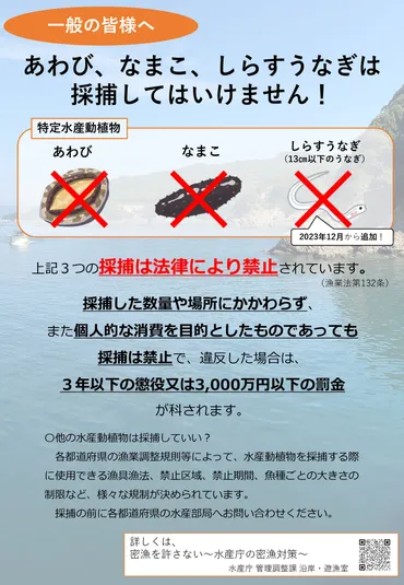 レジャー゛のつもりが゛犯罪行為゛…密漁が横行：罰則強化、ルール確認を！ 