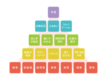 早期療育はなぜ大切？【発達障害・自閉症スペクトラム】