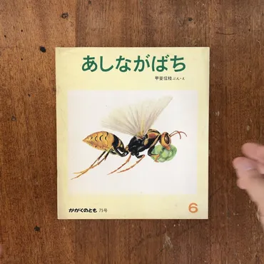 あしながばち
