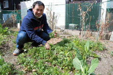 長田の空き地に「多文化共生」の畑 ベトナム人が母国料理の野菜栽培 兵庫県：朝日新聞