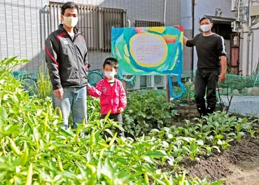 多文化共生ガーデン」海外出身住民が母国の野菜栽培 文化交流の土壌に 