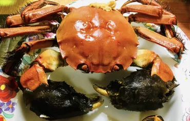 俵万智が惚れ込んだ、短歌県・宮崎の暮らし 