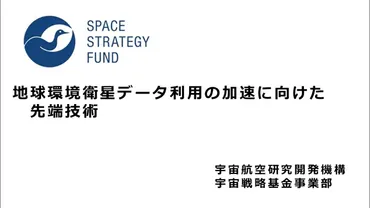 地球環境衛星データ利用の加速に向けた先端技術