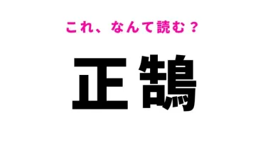 正鵠】はなんて読む？真理を射抜く漢字！ 