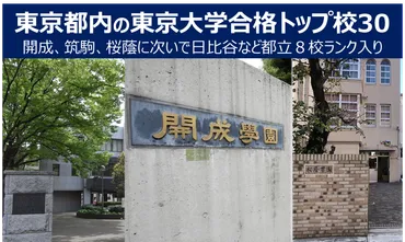 開成、筑駒、日比谷、東大合格への道は？2024年最新情報と学校比較（偏差値、入試、学校生活、進学実績）東大合格者数ランキングに見る進学実績と教育の多様性