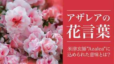 アザレアの花言葉とは？「さよならのつづき」の主題歌azaleaの ...