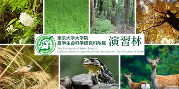 東大農学150+未来プロジェクト 