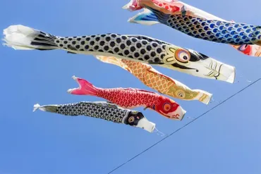 二十四節気から読み解く日本の季節〜立夏、小満、白露とは？〜日本の季節：立夏、小満、白露