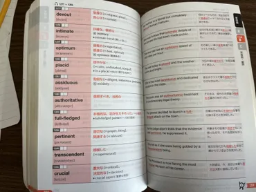 英単語学習の羅針盤：10月からの効果的な学習法とは？10月からの英単語学習ロードマップ：効果的な学習法と継続の秘訣