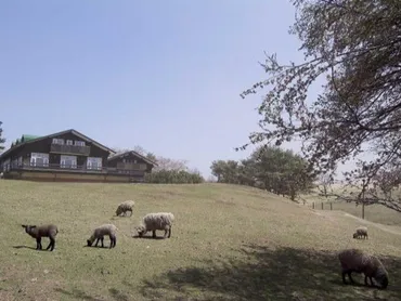 カワヨグリーン牧場】アクセス・営業時間・料金情報