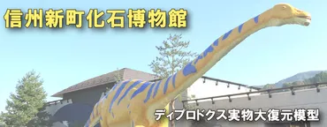 信州新町化石博物館