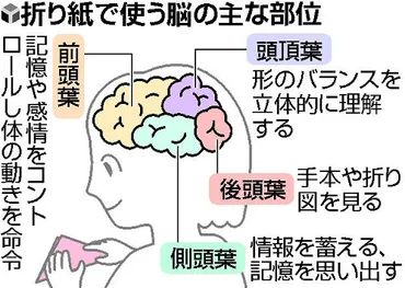 折り紙（上） 脳がバランス良く働く 