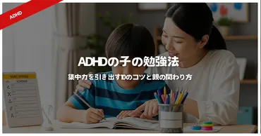 ADHDの子の勉強法：集中力を引き出す10のコツと親の関わり方 ...