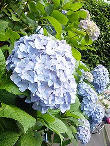 難読漢字の世界を旅する？読み方、クイズ、レクリエーションで脳トレ！難読漢字の世界へようこそ！読み方、意味、そして脳トレ効果も。