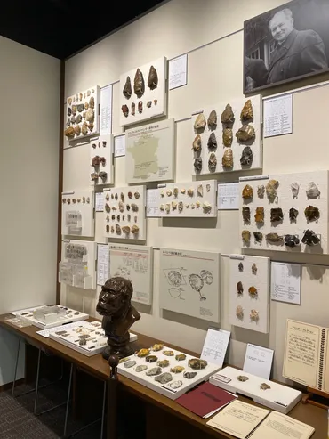 南山大学人類学博物館へ行こう！触れる展示で人類史を学ぶ？触れる展示が魅力！南山大学人類学博物館の全貌