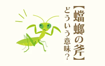 蟷螂の斧】の意味は？由来はあの昆虫！例文や類語と合わせて解説 ...