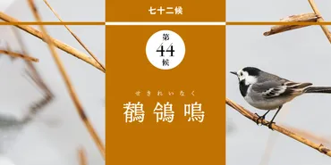 二十四節気ガイド】白露とは？意味・由来、七十二候と時候の挨拶