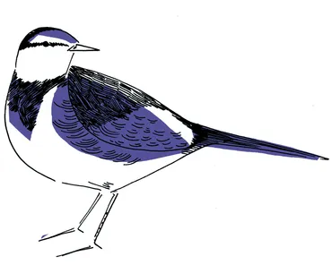 二十四節気・白露（はくろ）