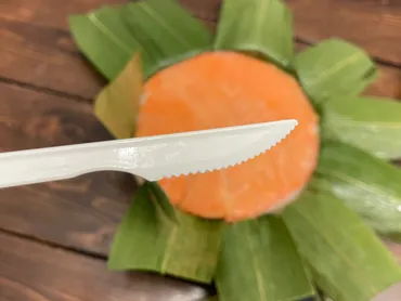 富山県の名物駅弁「ますのすし」鱒寿司を食べてみたよ！