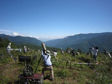 バードウォッチャーの聖地！長野県・白樺峠でタカ柱ウォッチ 