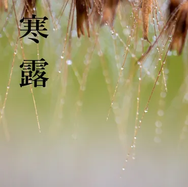 寒露を感じる日本の文化と暮らし：移ろいゆく季節を楽しむ方法は？二十四節気の寒露と、季節を彩る文化的な要素